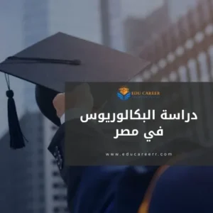 دراسة البكالوريوس في مصر