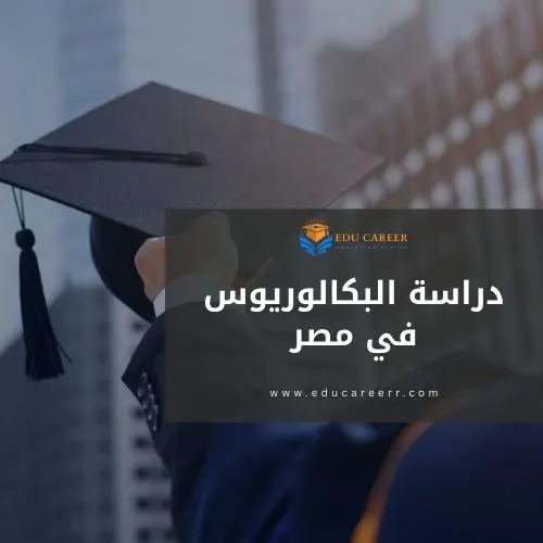 دراسة البكالوريوس في مصر